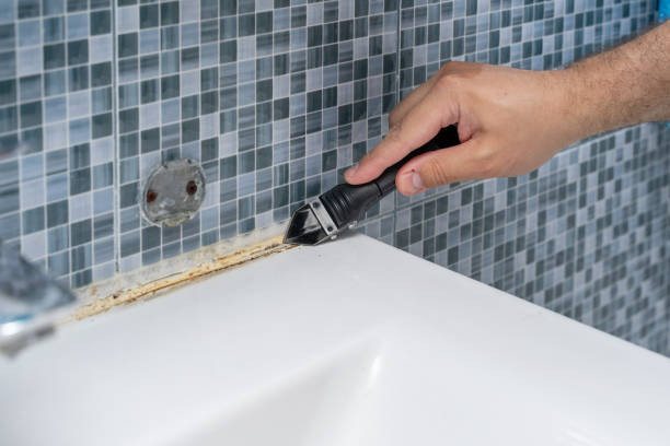 Best Black Mold Removal  in Wellsville, OH