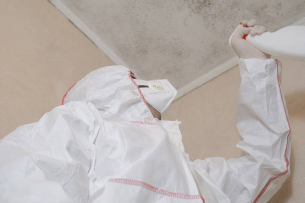 Best Office Mold Removal Services  in Wellsville, OH